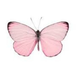 Meet your Posher, Kaydence